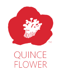 Quince Flower